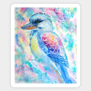 Kookaburra Sticker